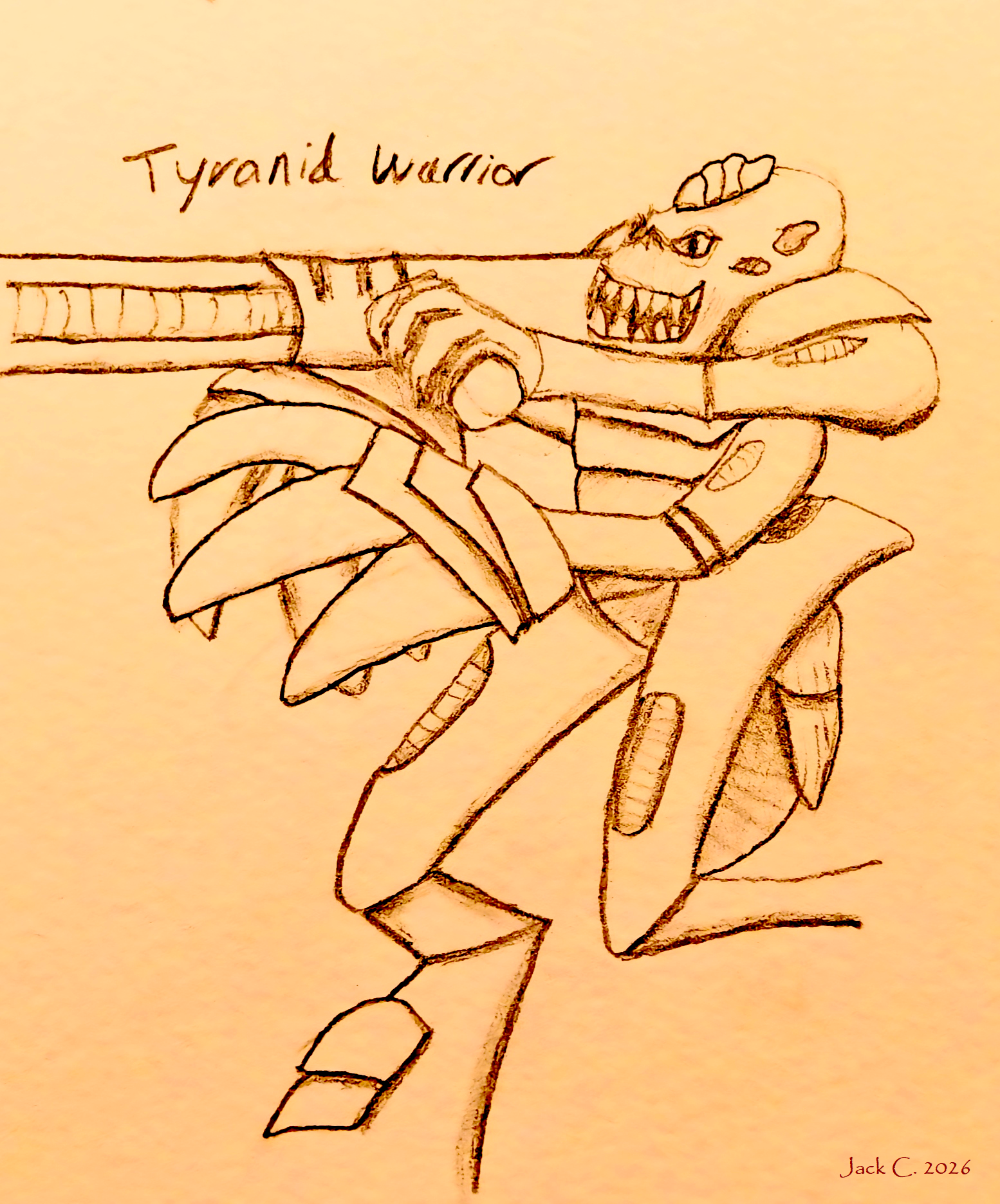 Sketch reconstruction: unclassified xeno-organism